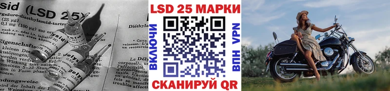 мориарти телеграм  Терек  ЛСД экстази кислота 