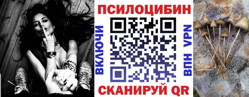 Галлюциногенные грибы Psilocybine cubensis  где продают   Терек 